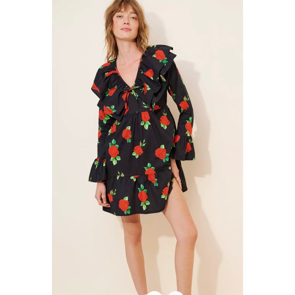 Anthropologie The Lulo Project NWT Rose Dress M Dark Romantic Ruffle Mini